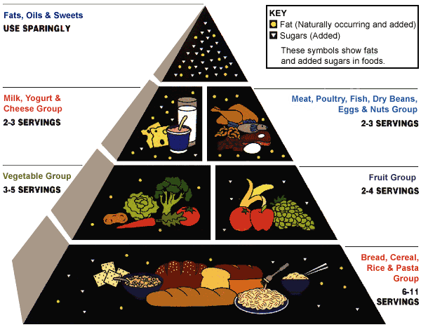 food pyramid for children. Children come home